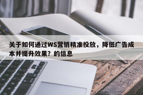 关于如何通过WS营销精准投放，降低广告成本并提升效果？的信息