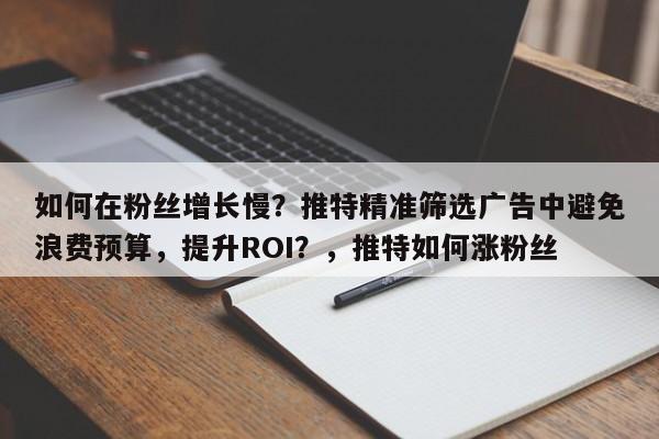 如何在粉丝增长慢?推特精准筛选广告中避免浪费预算,提升ROI?,推特如何涨粉丝