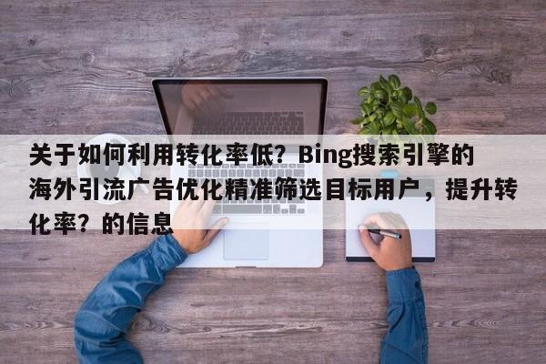 关于如何利用转化率低?Bing搜索引擎的海外引流广告优化精准筛选目标用户,提升转化率?的信息