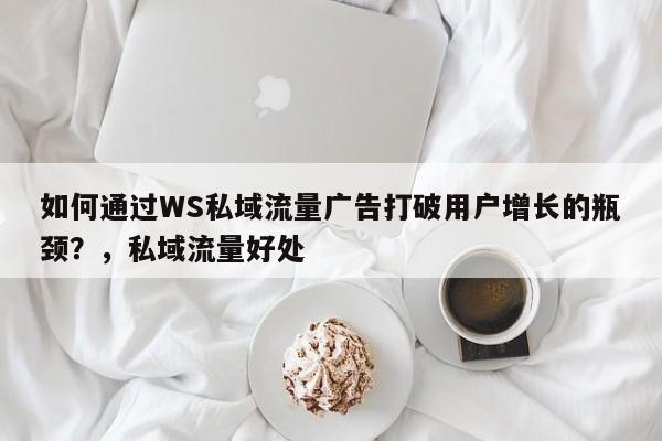 如何通过WS私域流量广告打破用户增长的瓶颈?,私域流量好处