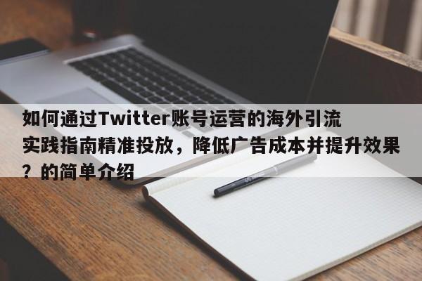 如何通过Twitter账号运营的海外引流实践指南精准投放,降低广告成本并提升效果?的简单介绍