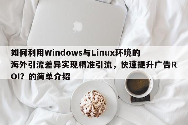 如何利用Windows与Linux环境的海外引流差异实现精准引流,快速提升广告ROI?的简单介绍