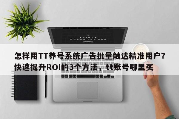 怎样用TT养号系统广告批量触达精准用户?快速提升ROI的3个方法,tt账号哪里买