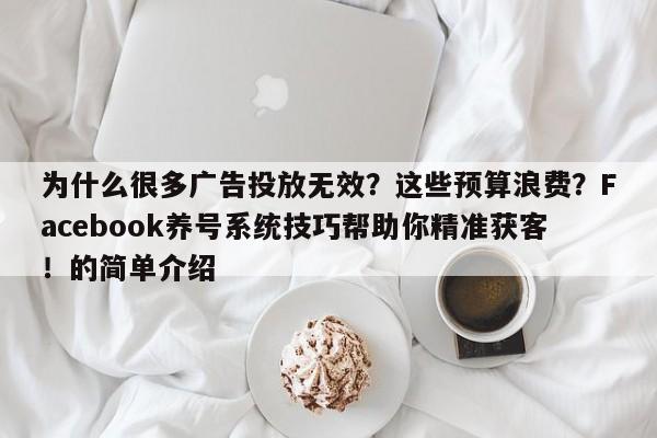 为什么很多广告投放无效？这些预算浪费？Facebook养号系统技巧帮助你精准获客！的简单介绍