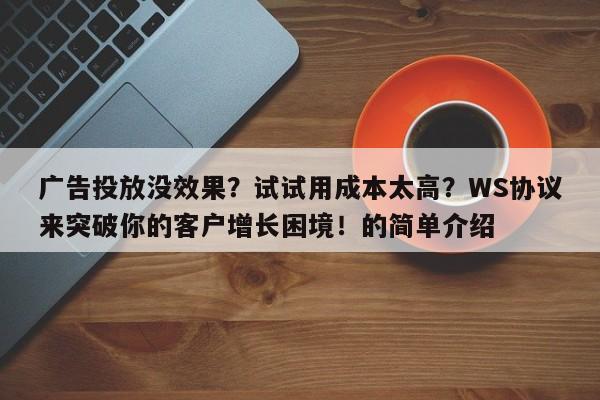 广告投放没效果?试试用成本太高?WS协议来突破你的客户增长困境!的简单介绍