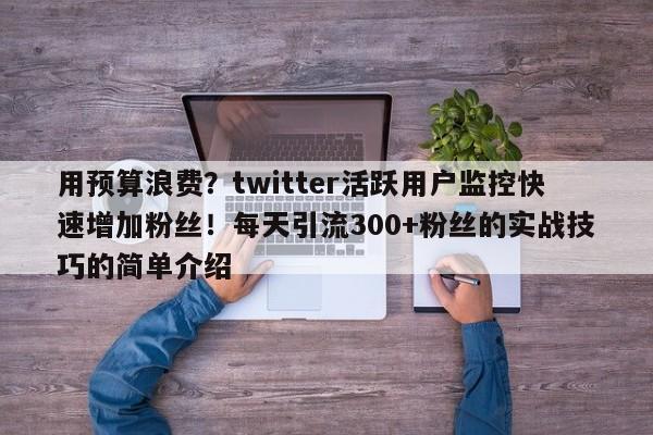 用预算浪费?twitter活跃用户监控快速增加粉丝!每天引流300+粉丝的实战技巧的简单介绍