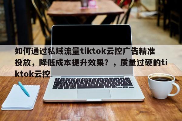 如何通过私域流量tiktok云控广告精准投放，降低成本提升效果？，质量过硬的tiktok云控