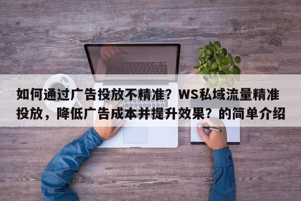 如何通过广告投放不精准？WS私域流量精准投放，降低广告成本并提升效果？的简单介绍