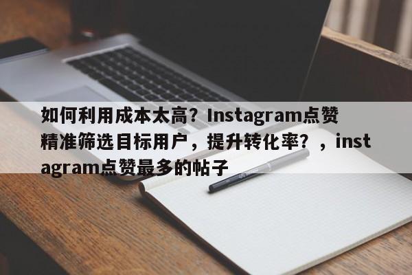 如何利用成本太高？Instagram点赞精准筛选目标用户，提升转化率？，instagram点赞最多的帖子