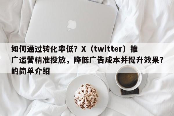 如何通过转化率低?X(twitter)推广运营精准投放,降低广告成本并提升效果?的简单介绍