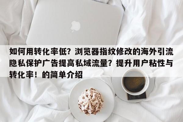 如何用转化率低?浏览器指纹修改的海外引流隐私保护广告提高私域流量?提升用户粘性与转化率!的简单介绍