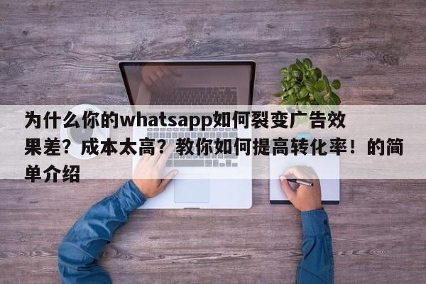 为什么你的whatsapp如何裂变广告效果差？成本太高？教你如何提高转化率！的简单介绍
