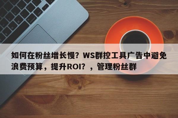 如何在粉丝增长慢？WS群控工具广告中避免浪费预算，提升ROI？，管理粉丝群