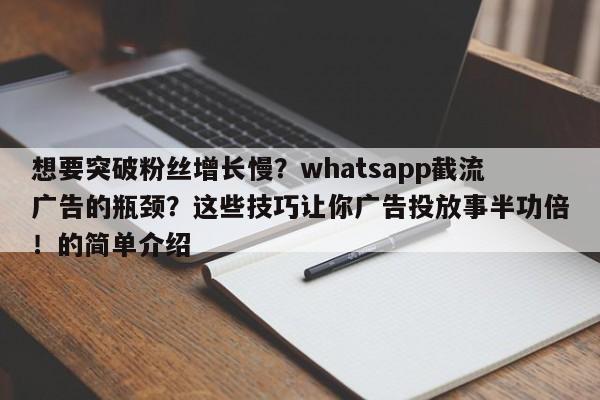 想要突破粉丝增长慢?whatsapp截流广告的瓶颈?这些技巧让你广告投放事半功倍!的简单介绍
