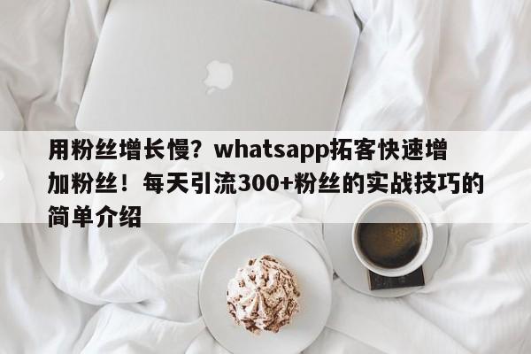 用粉丝增长慢?whatsapp拓客快速增加粉丝!每天引流300+粉丝的实战技巧的简单介绍