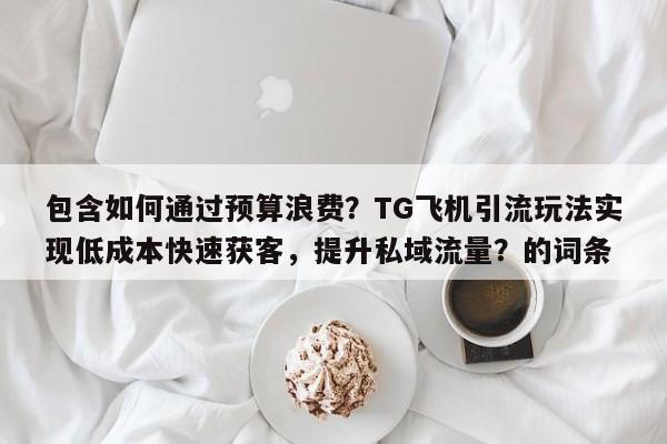 包含如何通过预算浪费?TG飞机引流玩法实现低成本快速获客,提升私域流量?的词条