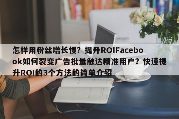 怎样用粉丝增长慢？提升ROIFacebook如何裂变广告批量触达精准用户？快速提升ROI的3个方法的简单介绍