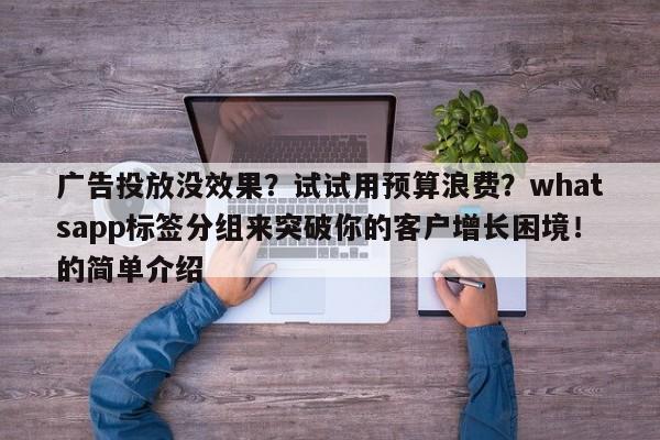 广告投放没效果？试试用预算浪费？whatsapp标签分组来突破你的客户增长困境！的简单介绍