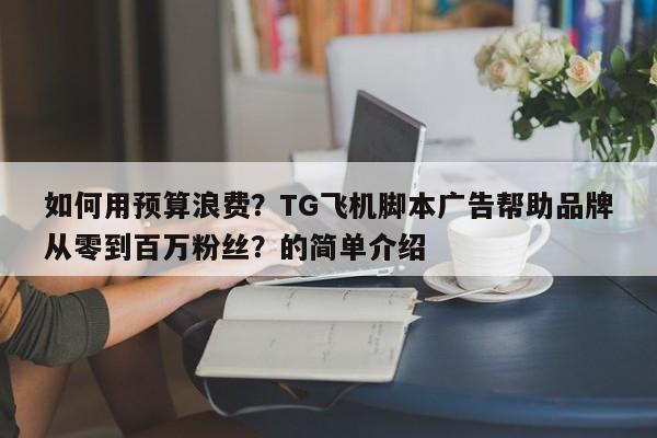 如何用预算浪费?TG飞机脚本广告帮助品牌从零到百万粉丝?的简单介绍