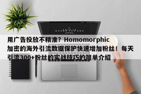 用广告投放不精准?Homomorphic加密的海外引流数据保护快速增加粉丝!每天引流300+粉丝的实战技巧的简单介绍