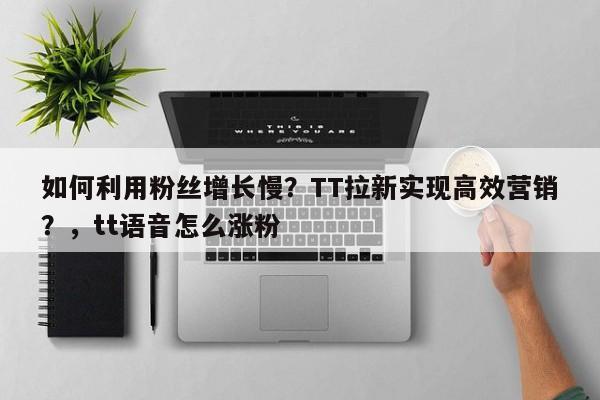如何利用粉丝增长慢?TT拉新实现高效营销?,tt语音怎么涨粉