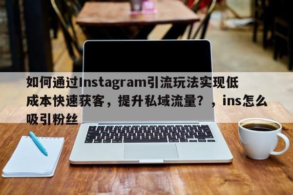 如何通过Instagram引流玩法实现低成本快速获客，提升私域流量？，ins怎么吸引粉丝