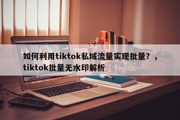 如何利用tiktok私域流量实现批量？，tiktok批量无水印解析
