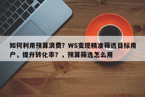 如何利用预算浪费？WS变现精准筛选目标用户，提升转化率？，预算筛选怎么用