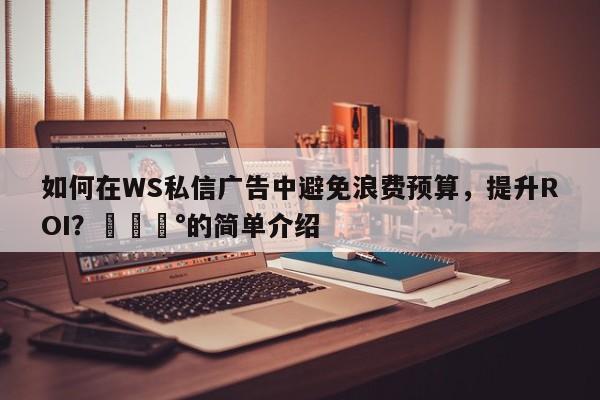 如何在WS私信广告中避免浪费预算，提升ROI？💰的简单介绍