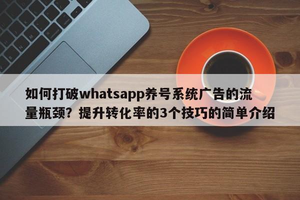 如何打破whatsapp养号系统广告的流量瓶颈?提升转化率的3个技巧的简单介绍