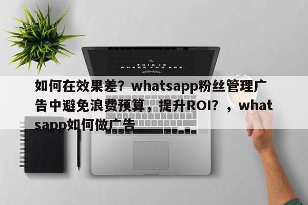 如何在效果差?whatsapp粉丝管理广告中避免浪费预算,提升ROI?,whatsapp如何做广告