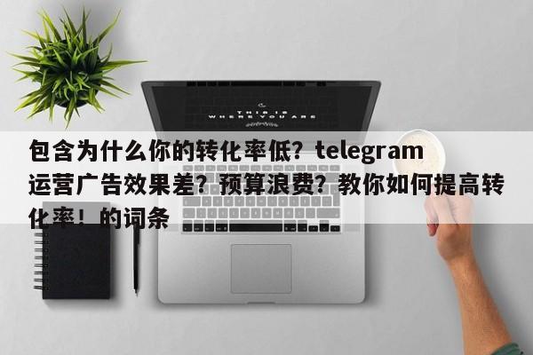 包含为什么你的转化率低?telegram运营广告效果差?预算浪费?教你如何提高转化率!的词条