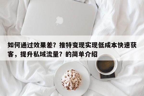 如何通过效果差?推特变现实现低成本快速获客,提升私域流量?的简单介绍