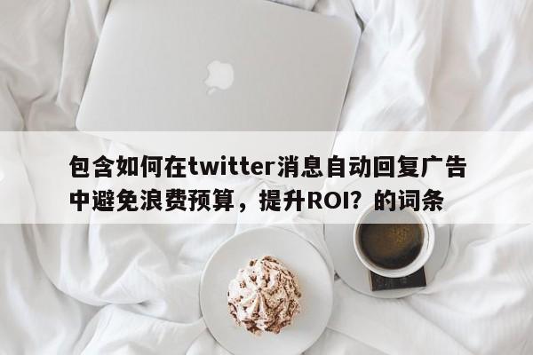 包含如何在twitter消息自动回复广告中避免浪费预算,提升ROI?的词条