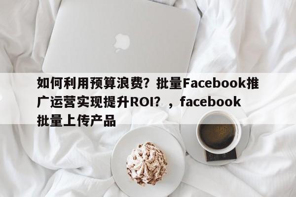 如何利用预算浪费？批量Facebook推广运营实现提升ROI？，facebook批量上传产品