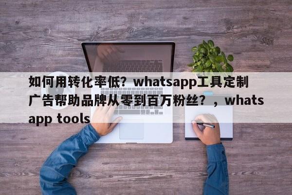 如何用转化率低?whatsapp工具定制广告帮助品牌从零到百万粉丝?,whatsapp tools