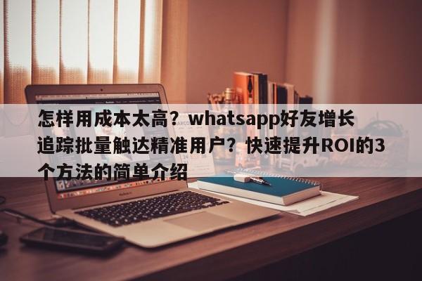 怎样用成本太高？whatsapp好友增长追踪批量触达精准用户？快速提升ROI的3个方法的简单介绍
