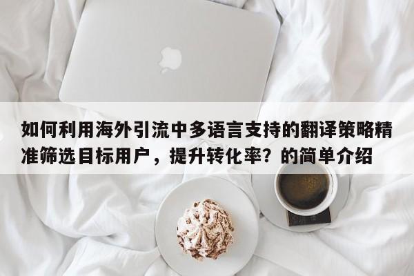 如何利用海外引流中多语言支持的翻译策略精准筛选目标用户,提升转化率?的简单介绍
