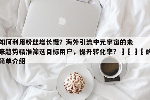 如何利用粉丝增长慢?海外引流中元宇宙的未来趋势精准筛选目标用户,提升转化率?💡的简单介绍