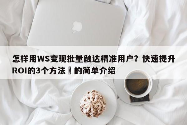 怎样用WS变现批量触达精准用户?快速提升ROI的3个方法⚡的简单介绍