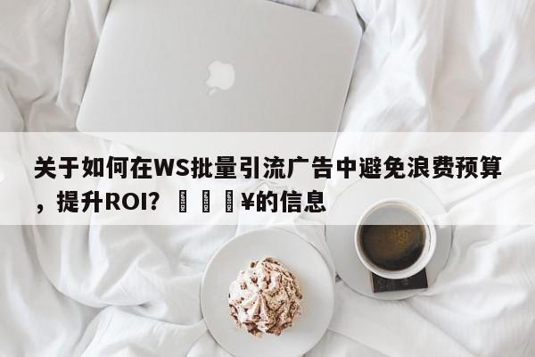 关于如何在WS批量引流广告中避免浪费预算，提升ROI？💥的信息