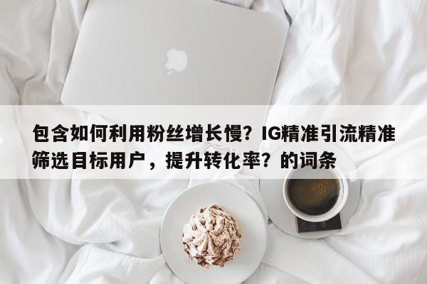 包含如何利用粉丝增长慢?IG精准引流精准筛选目标用户,提升转化率?的词条