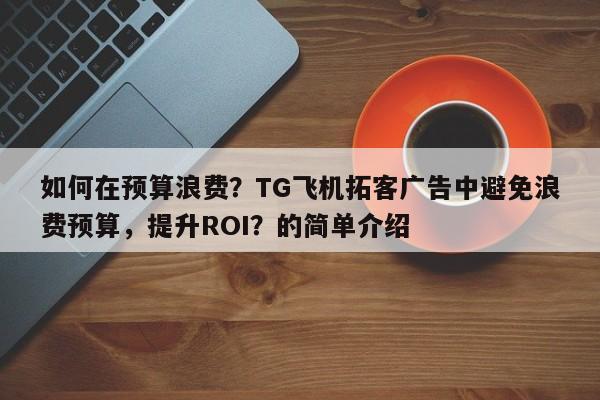 如何在预算浪费?TG飞机拓客广告中避免浪费预算,提升ROI?的简单介绍