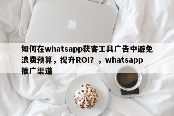 如何在whatsapp获客工具广告中避免浪费预算，提升ROI？，whatsapp推广渠道