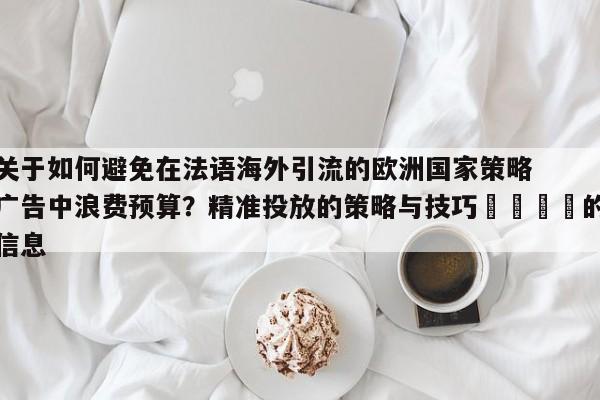关于如何避免在法语海外引流的欧洲国家策略广告中浪费预算？精准投放的策略与技巧💡的信息