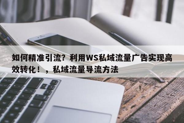 如何精准引流？利用WS私域流量广告实现高效转化！，私域流量导流方法