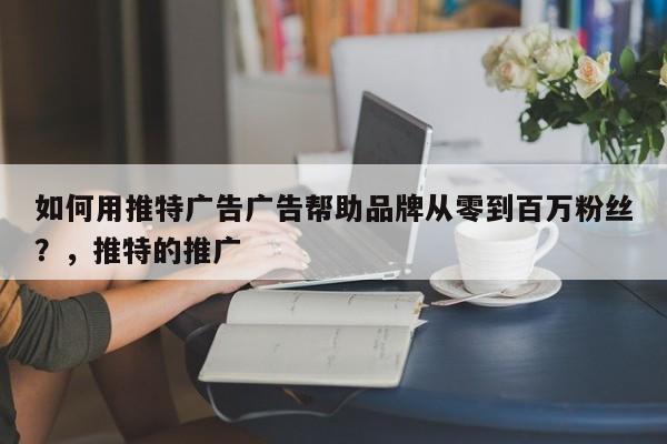 如何用推特广告广告帮助品牌从零到百万粉丝？，推特的推广