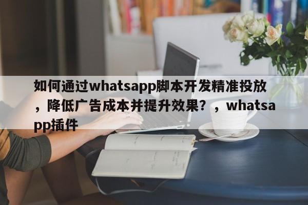 如何通过whatsapp脚本开发精准投放，降低广告成本并提升效果？，whatsapp插件