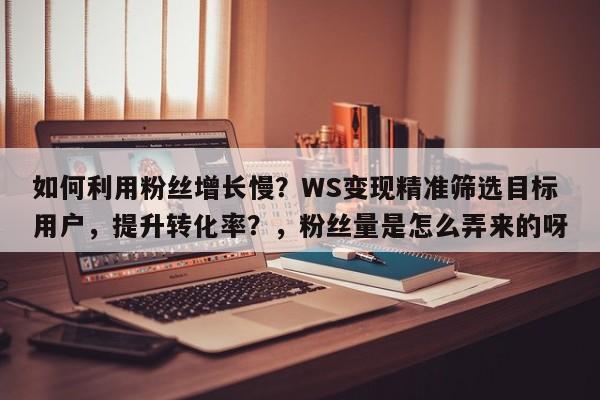 如何利用粉丝增长慢？WS变现精准筛选目标用户，提升转化率？，粉丝量是怎么弄来的呀