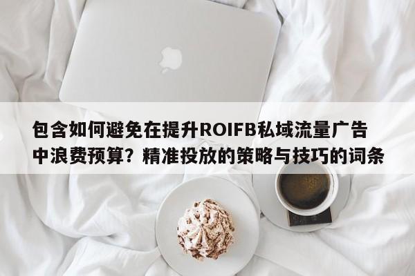 包含如何避免在提升ROIFB私域流量广告中浪费预算？精准投放的策略与技巧的词条